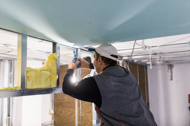 Best Fiberglass Insulation in Willowbrook, CA
