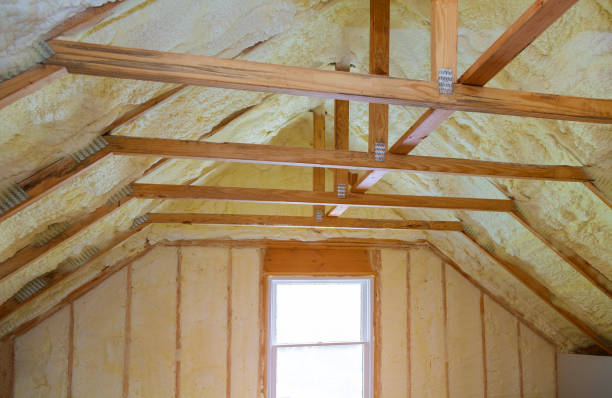 Best Geographic-Specific Insulation Services in Willowbrook, CA