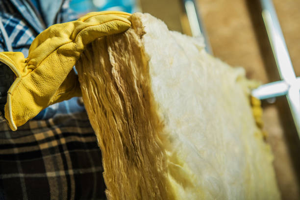 Best Insulation Maintenance and Repair in Willowbrook, CA