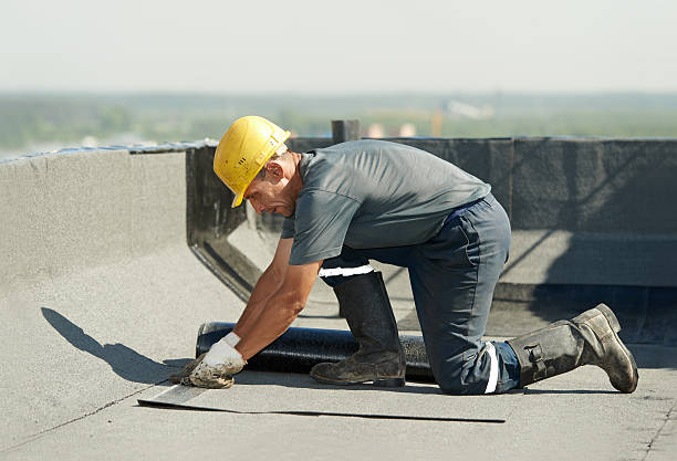 Best Eco-Friendly Insulation in Willowbrook, CA