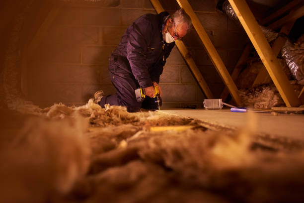Best Blown-in Insulation in Willowbrook, CA